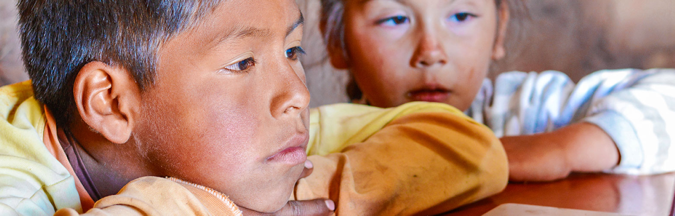 Desafíos de la Educación no Presencial en el Perú